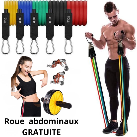 Pack Bande de résistance + Roue abdominaux