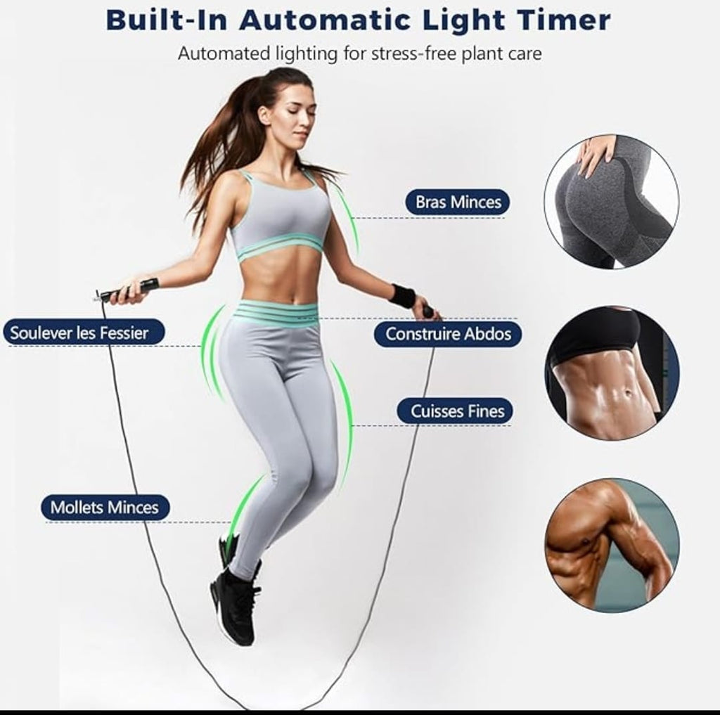 PACK Planche + Élastiques + Roue abdos +  Corde (Offre Limitée)