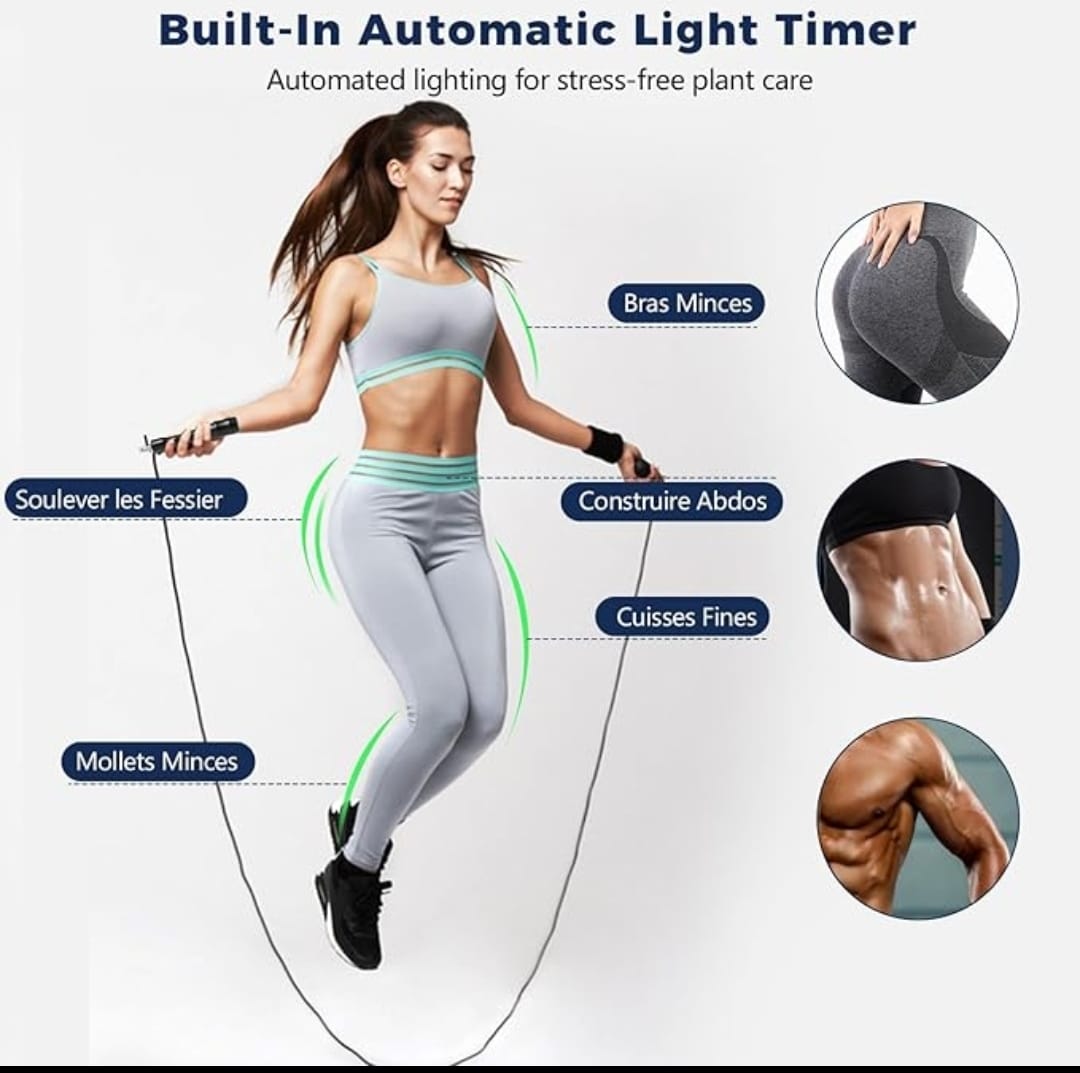 PACK Planche + Élastiques + Roue abdos +  Corde (Offre Limitée)